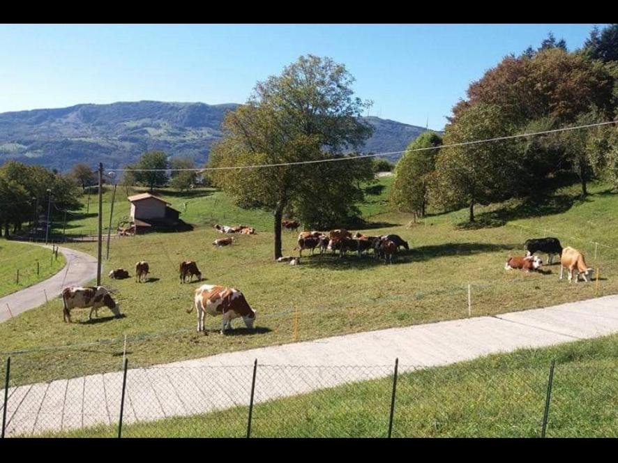Casa "La Forcella" Villa Brembilla Exteriör bild
